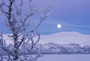 Evening light at Bjorkliden, Lapland, Sweden