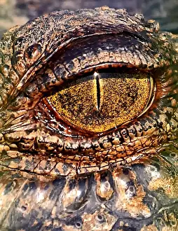 eye to eye