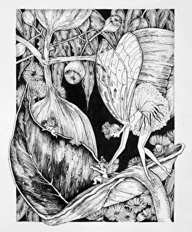 Fairy Tale Prints: Fairy giving Baby a Slide on Leaf