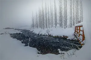 Snowing Prints: Falling snow Hvita