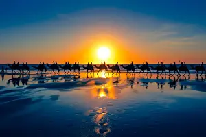 Water Surface Prints: The famous camel train, Cable Beach, Western Australia