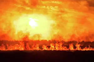 Kathryn Diehm Prints: farmer burning off stubble in country with sun setting in back ground