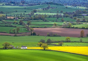 Images Dated 14th April 2017: Farmland and agriculture near Hambleton Hill, Dorset, England, United Kingdom