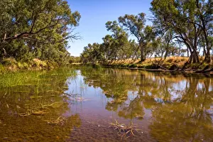 Mount Zeil Prints: Finke River
