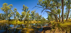 Mount Zeil Prints: Finke River