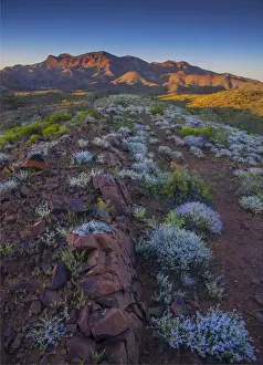 Images Dated 16th September 2015: First light on the Glass range, Flinders Ranges national park, South Australia