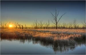 Images Dated 7th July 2012: First light at Winton Wetlands, central Victoria, Australia