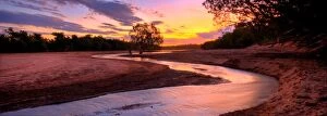 Julie Fletcher Collection: Fitzroy River Fitzroy Crossing WA