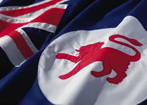 Identity Prints: the flag of Tasmania