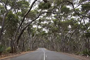 Road Marking Prints: Flinders Chase National Park, Australia
