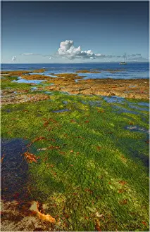 Flinders coastline, Western-port bay, Victoria, Australia