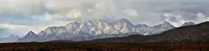 Images Dated 2010 May: Flinders ranges South Australia