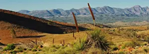 Julie Fletcher Prints: Flinders ranges south Australia