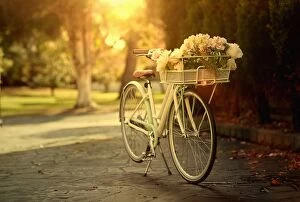 Images Dated 13th July 2014: Flowers in bicycle basket