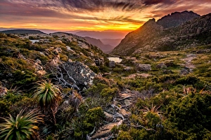 Following a track to the Lighting Ridge at mt Anne plateau in South West Tasmania Following a track to the Lighting Ridge at mt Anne plateau in South West Tasmania