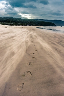 Footprints at the windy Cox Bright beach, South Coast track, Southwest Tasmania Footprints at the windy Cox Bright beach, South Coast track, Southwest Tasmania