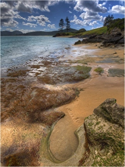 Foreshore near Capella South, Lord howe Island, New south Wales, Australia Foreshore near Capella South, Lord howe Island, New south Wales, Australia