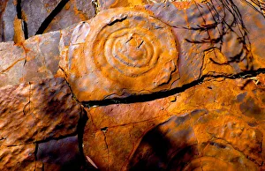 Fossil Find in the Karijini National Park