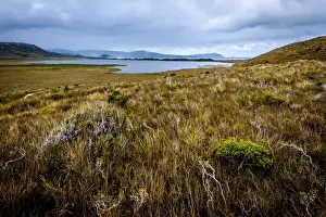 South West National Park Prints: Freney Lagoon at South Coast track, Southwest Tasmania