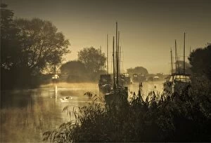 Images Dated 7th September 2012: Frome river dawn