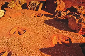 Gantheaume Point Dinosaur Footprints Gantheaume Point Dinosaur Footprints