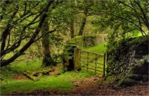 Images Dated 23rd September 2011: Gateway in the Lakes District, Cumbria, England
