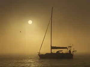 Ghost boat