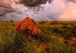 Julie Fletcher Collection: Giant termite Mounds Fitzroy Crossing WA