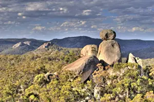 Garry Schlatter Prints: Girraween