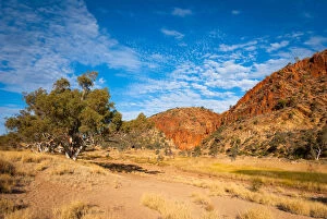Ashley Whitworth Images Collection: Glen Helen Gorge in Macdonnell Ranges Australia