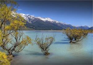 Images Dated 24th January 2014: Glenorchy, Lake Wakatipu, South Island New Zealand