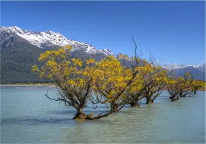 Glenorchy, Lake Wakatipu, South Island New Zealand
