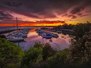 Images Dated 2022 February: A golden dawn of fiery colours in the late summer