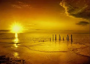 Golden sunset