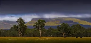 Grampians view of the mountains from Moyston, Victoria