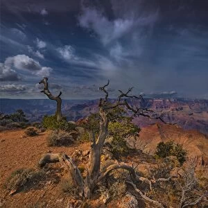 Images Dated 14th November 2014: Grand Canyon, Arizona, United States of America