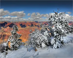 Arizona Prints: Grand Canyon, Arizona, United States of America