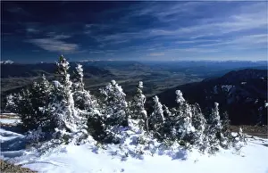 Wyoming Prints: Grand Teton National Park, Wyoming, United States