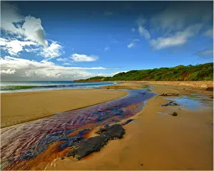 Images Dated 2012 March: Grassy Harbour and beach on the South Eastern coastline of King Island