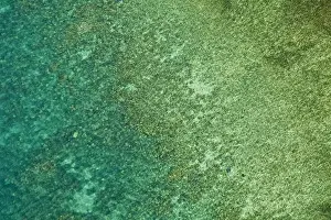 Great Barrier Reef