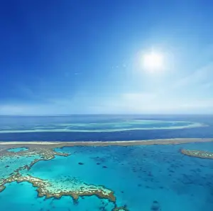 Null Prints: Great barrier reef