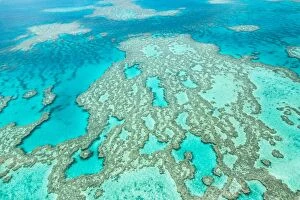 Images Dated 26th December 2016: Great Barrier Reef