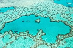 Images Dated 26th December 2016: Great Barrier Reef
