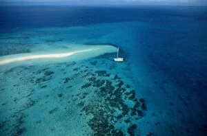 Great Barrier Reef Collection: Great Barrier Reef
