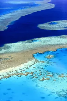 Reef Prints: Great Barrier Reef, Australia