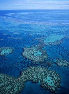 Great Barrier Reef Collection: Great Barrier Reef in Australia