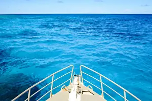 Reef Prints: Great Barrier Reef Blues