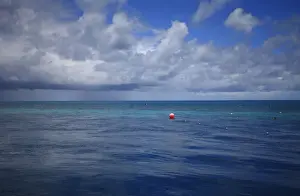 Ball Prints: Great Barrier Reef Blues