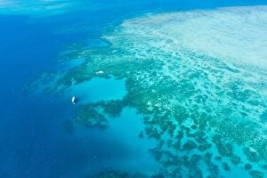 Great Barrier Reef Collection: Great Barrier Reef from above by helicopter