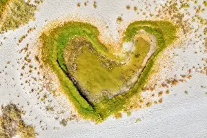 Images Dated 2019 October: Green heart shaped puddle on a white sandy beach beach